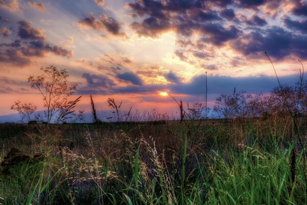 Krajobraz na tle nieba i zachodu słońca Natura