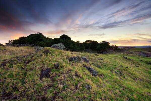 A snapshot of nature grass greenery trees clearing sky