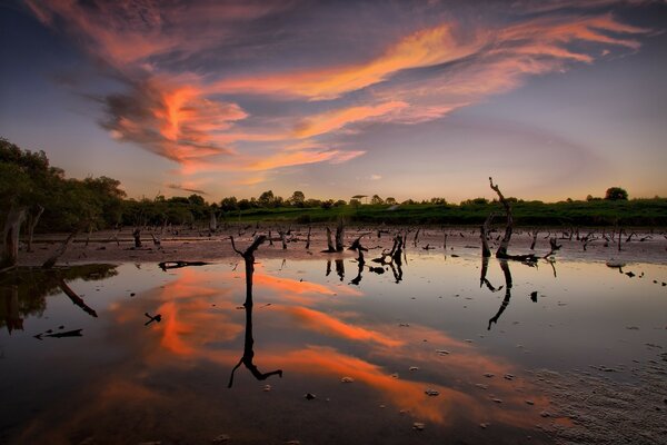 Reflection of the sunset sky in a forest lake