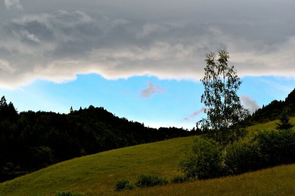 Nature glade trees sky clouds