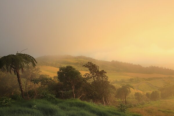 Hermoso paisaje con niebla al amanecer