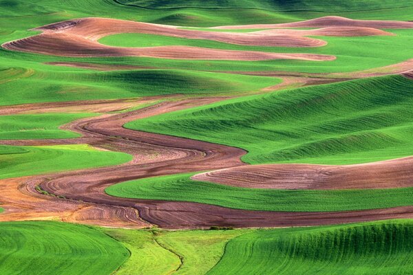 Gesätes Feld viel Land Gras Landschaft