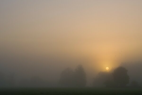 Puesta de sol en una bruma brumosa