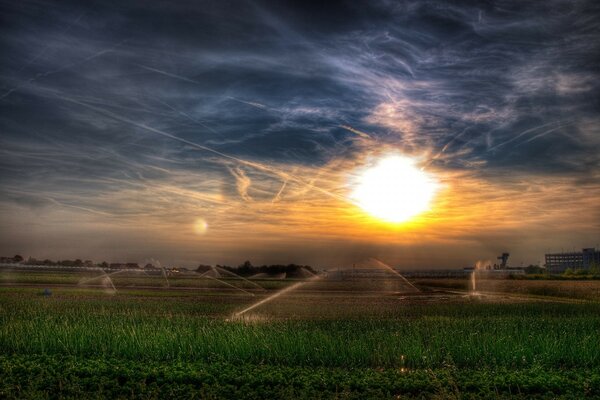 Paisaje amanecer sol y campo