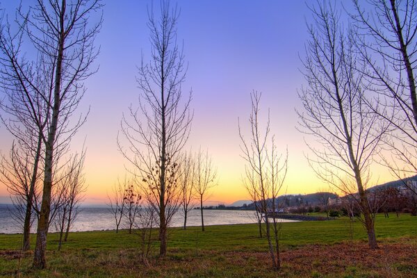 Alba sopra lo specchio d acqua, alberi spogli