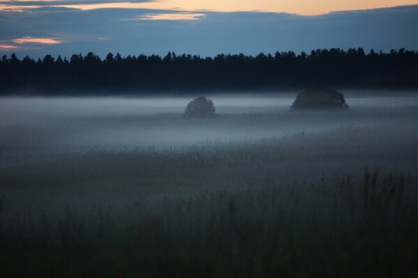 Paysage coucher de soleil ciel nature