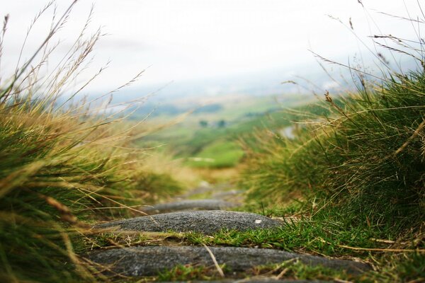 Landschaft Gras im Feld gute Natur