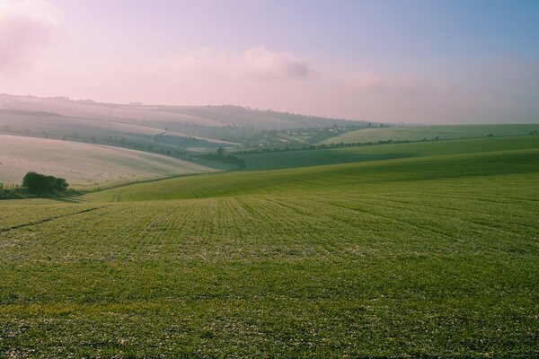 The boundless expanses of our vast planet