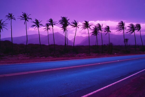 Palm trees on the background of mountains, road