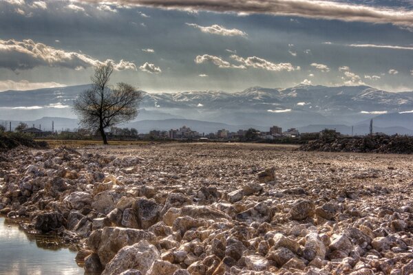 Paysage nature sur fond de ciel