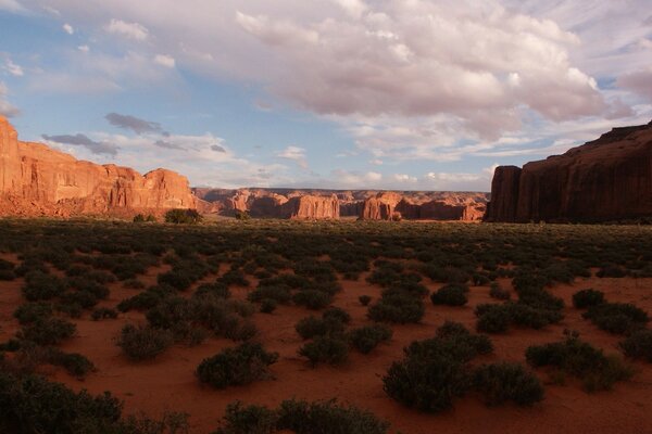 Hermoso desierto bajo el cielo nublado