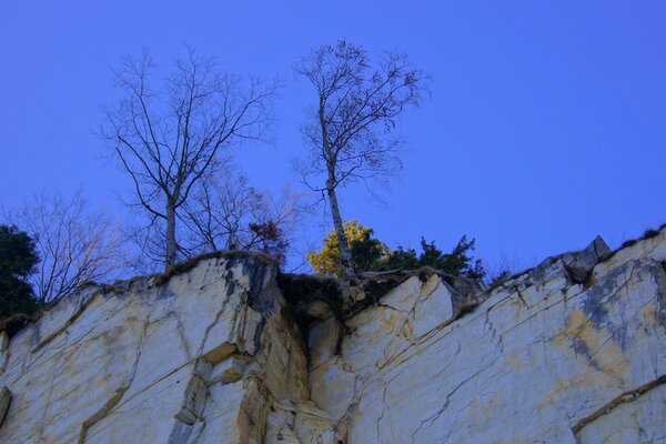 Landscape Nature Rocks Cliff Height Trees