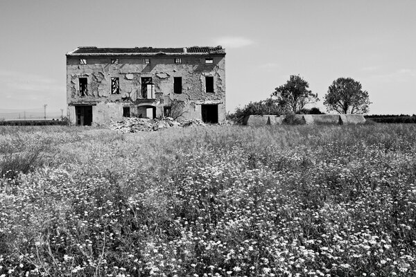 Paysage de maison abandonnée à l extérieur