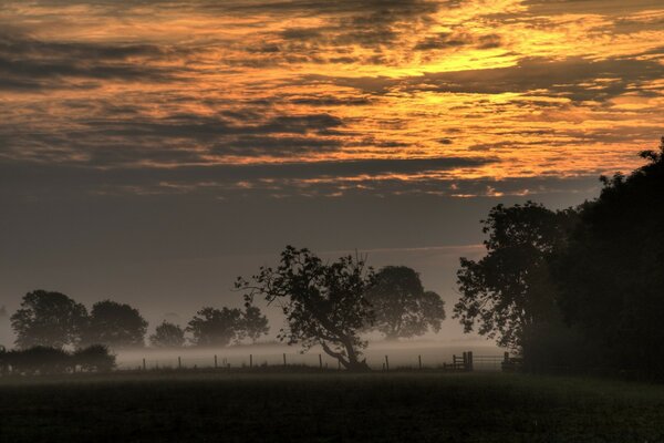 Mondnacht mit Nebel am Stadtrand