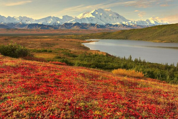 Autumn landscape in all its glory