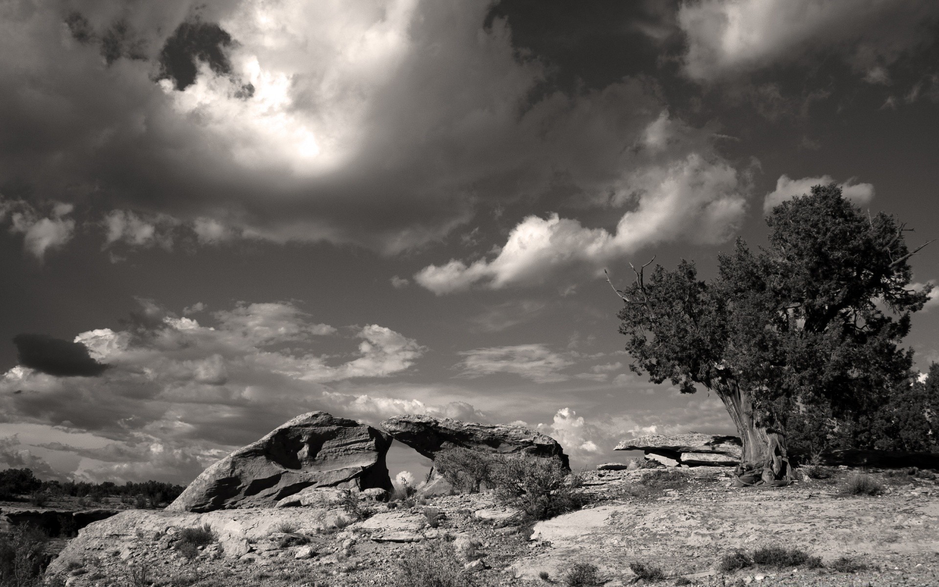 paysage monochrome paysage ciel arbre nature noir et blanc tempête à l extérieur montagnes infrarouge