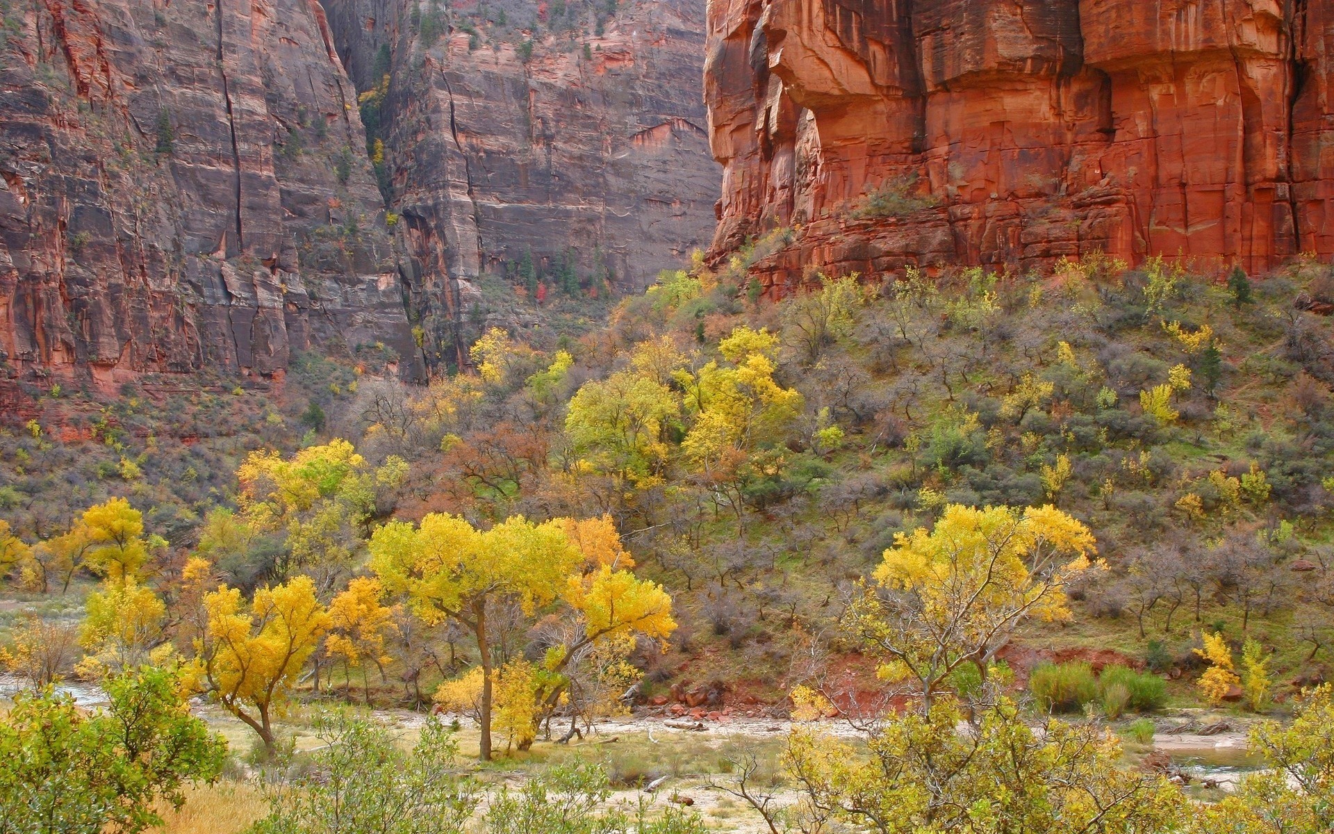 landschaft landschaft natur baum herbst park im freien landschaftlich reisen berge schlucht blatt holz rock landschaft medium farbe sandstein himmel flora