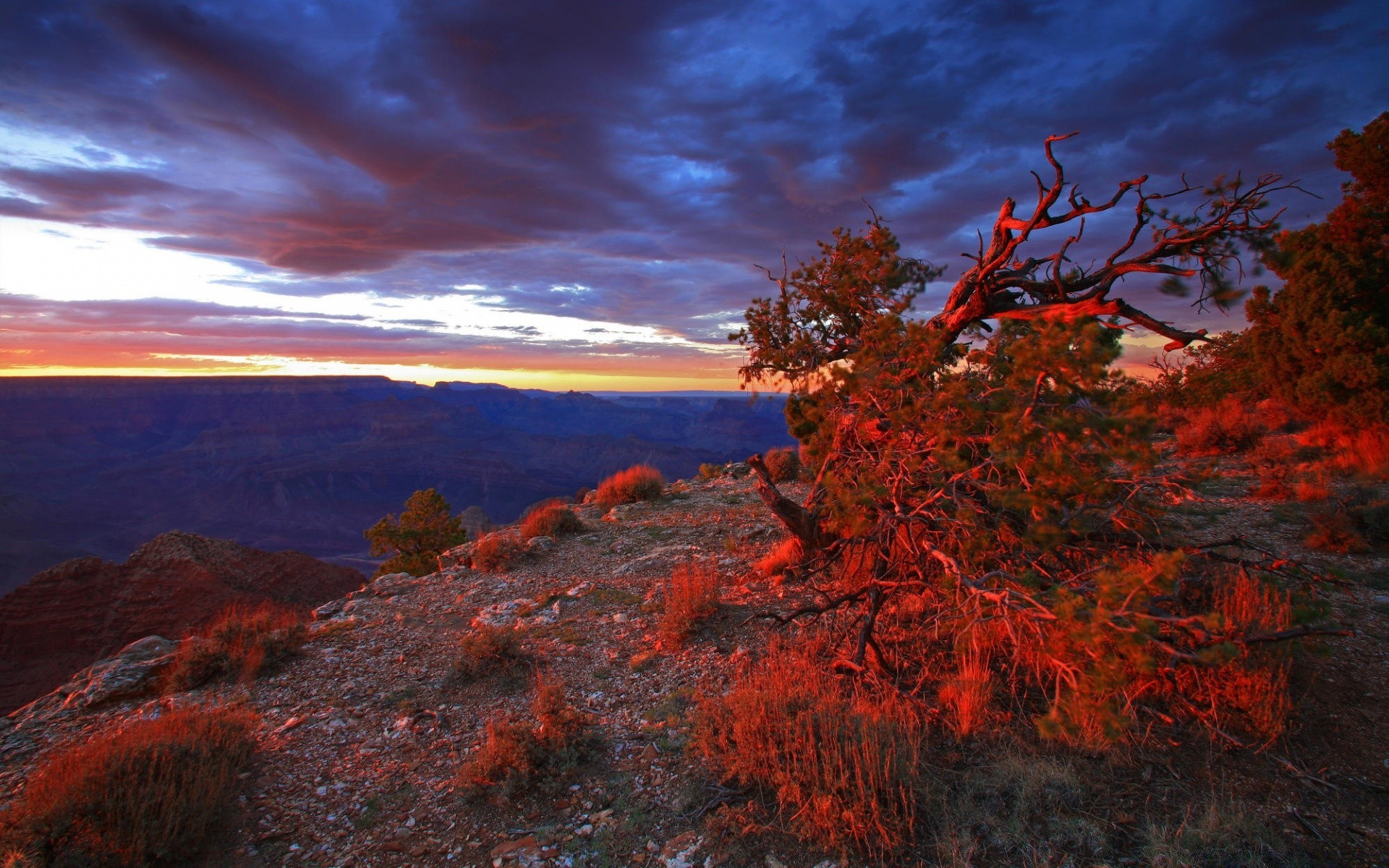 landscapes landscape tree evening fall outdoors sunset scenic nature travel sky mountain water