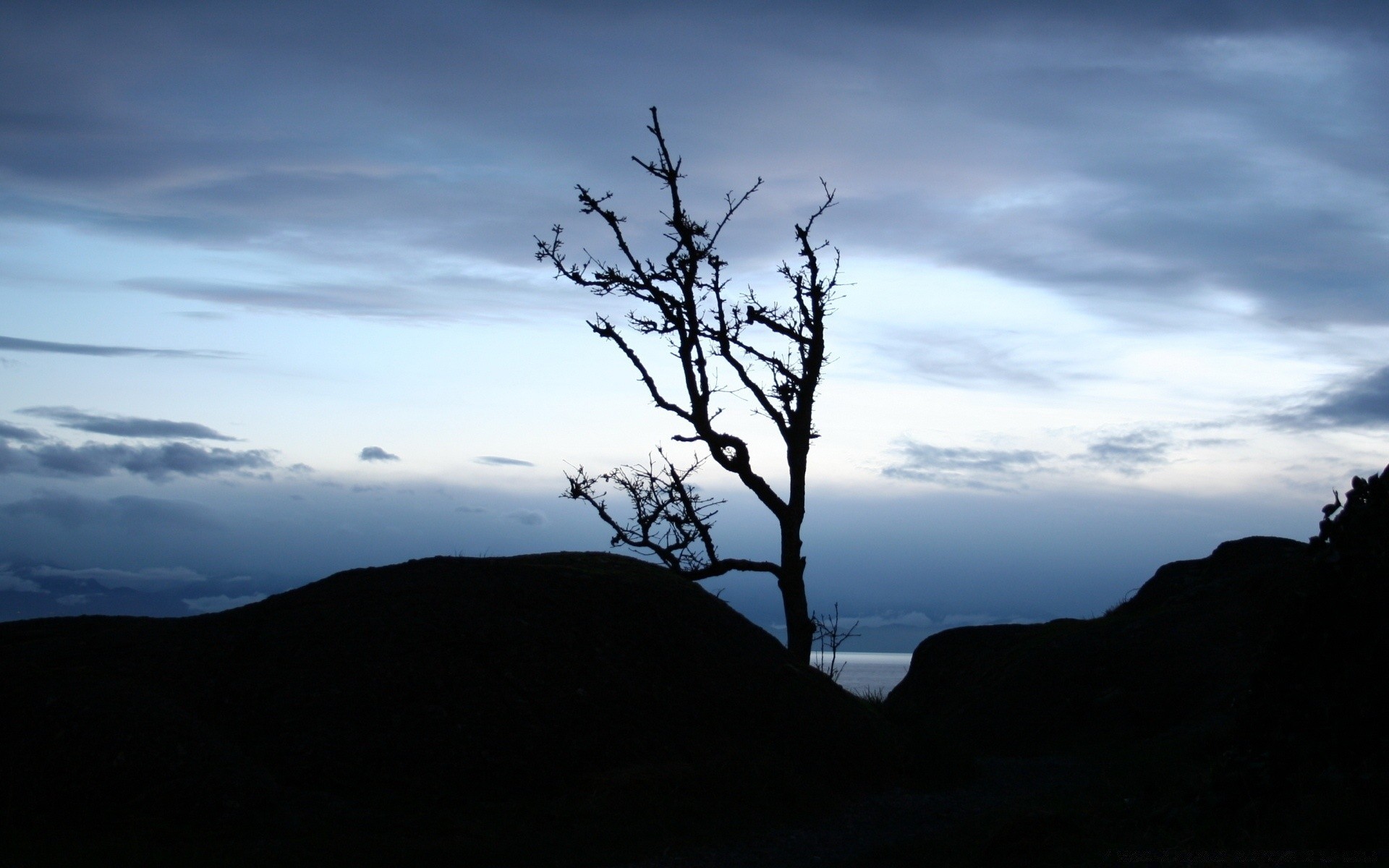 paesaggio paesaggio albero cielo tramonto montagna alba sera silhouette natura crepuscolo illuminato nebbia luce all aperto viaggi scenico nuvola meteo