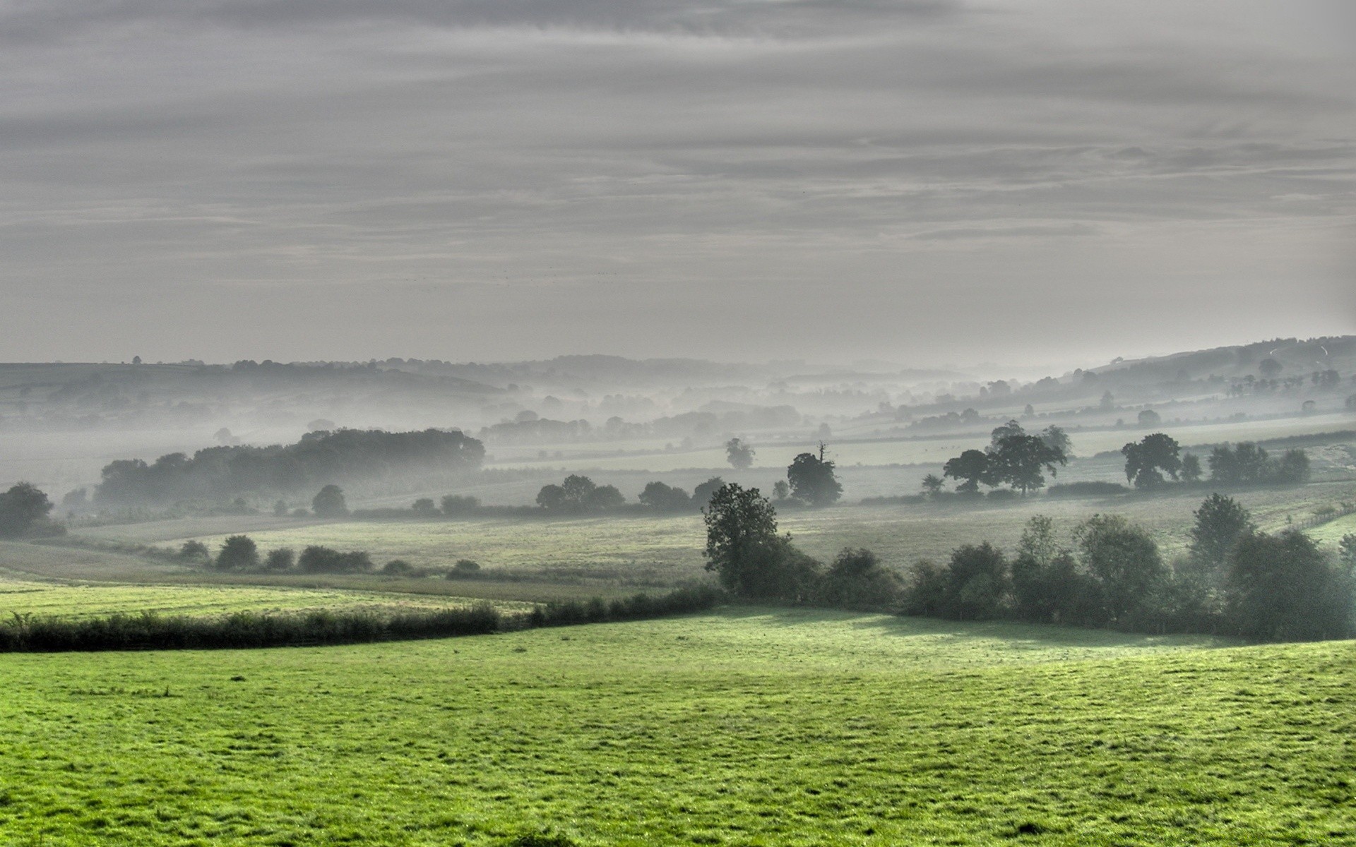 paysage paysage agriculture arbre terres cultivées ferme nature champ extérieur herbe ciel foin campagne colline pâturage scénique lumière du jour été