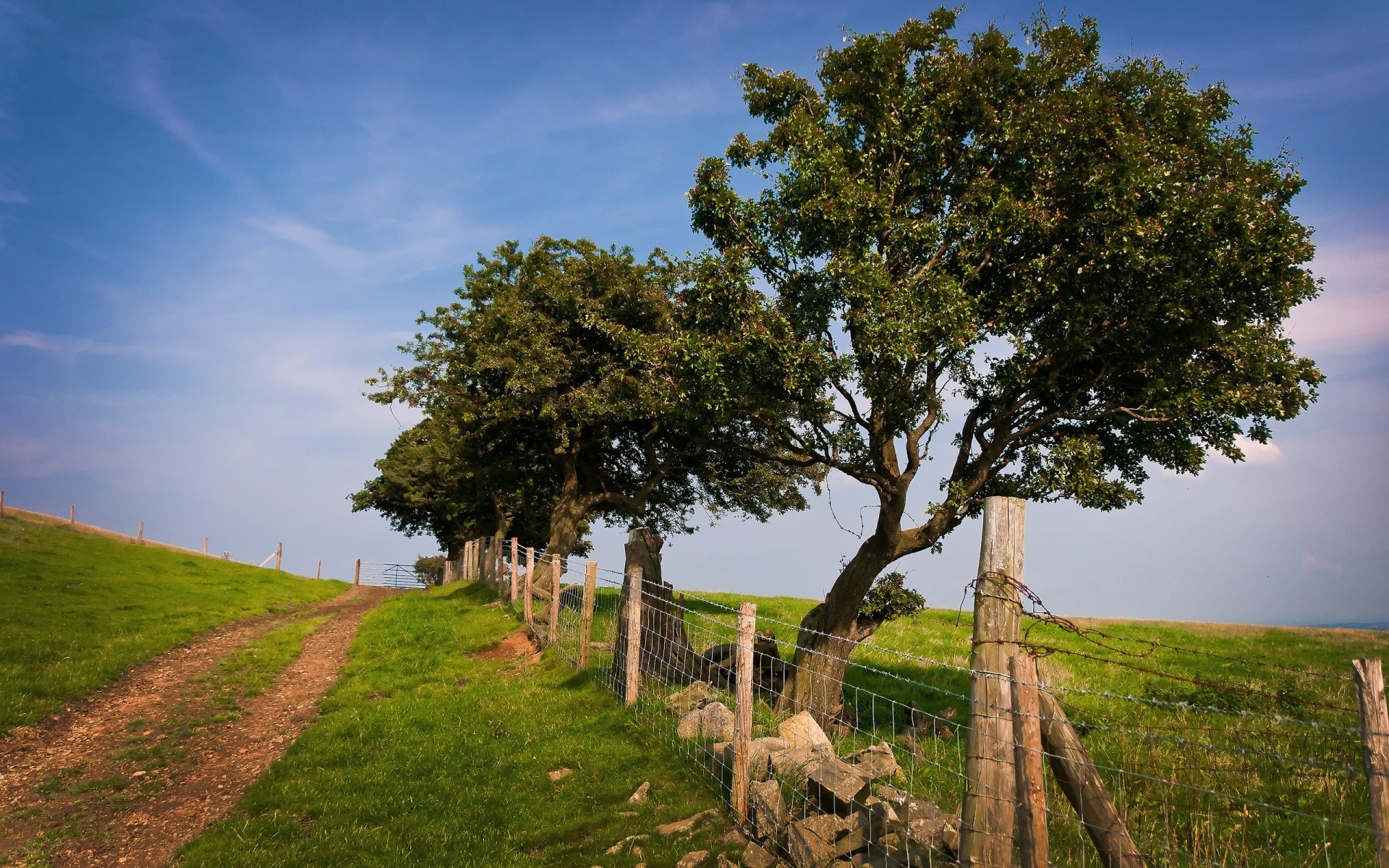 landscapes tree landscape grass sky nature outdoors wood countryside agriculture daylight field rural travel country guidance hayfield road summer scenic