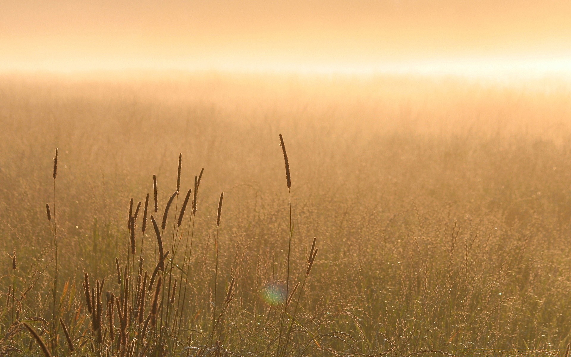 landschaft sonnenuntergang dämmerung landschaft sonne natur himmel gras feld gutes wetter nebel trocken licht weiden hintergrundbeleuchtung im freien dämmerung tageslicht