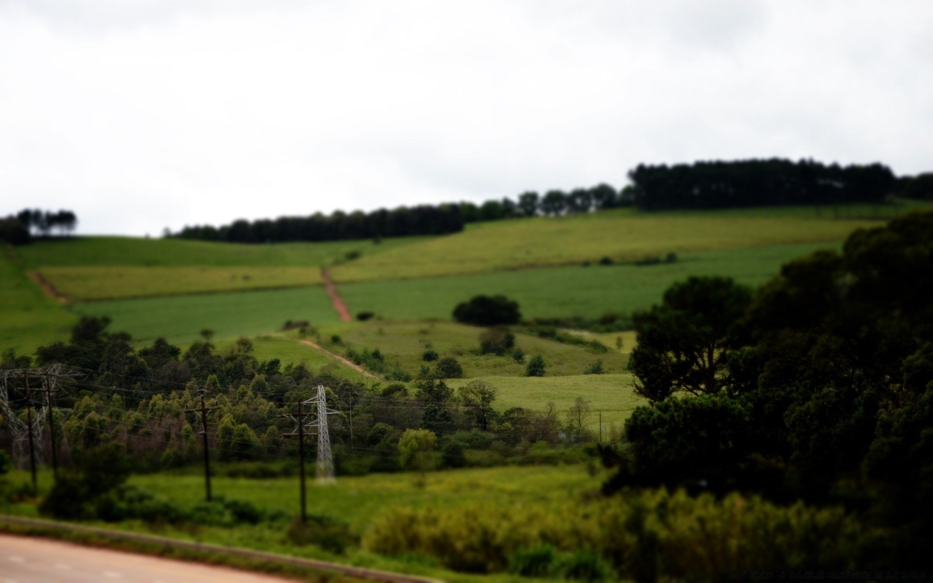 paisagens paisagem árvore agricultura grama campo ao ar livre fazenda natureza feno campo rural luz do dia céu verão terras cultivadas pasto cênica ambiente madeira