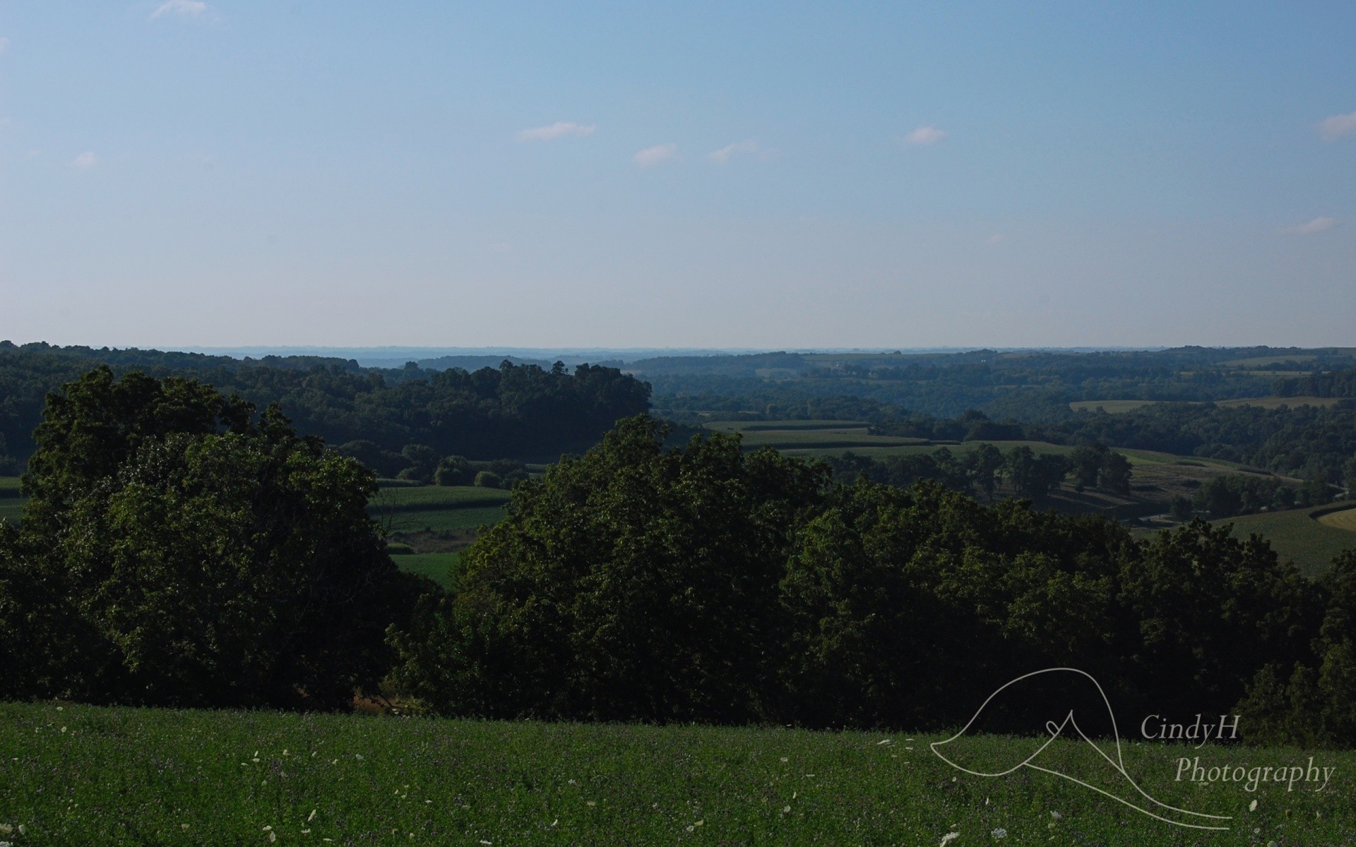 paysage paysage arbre colline ciel lumière du jour terres cultivées à l extérieur l agriculture voyage montagnes scénique nature pâturage bois herbe campagne