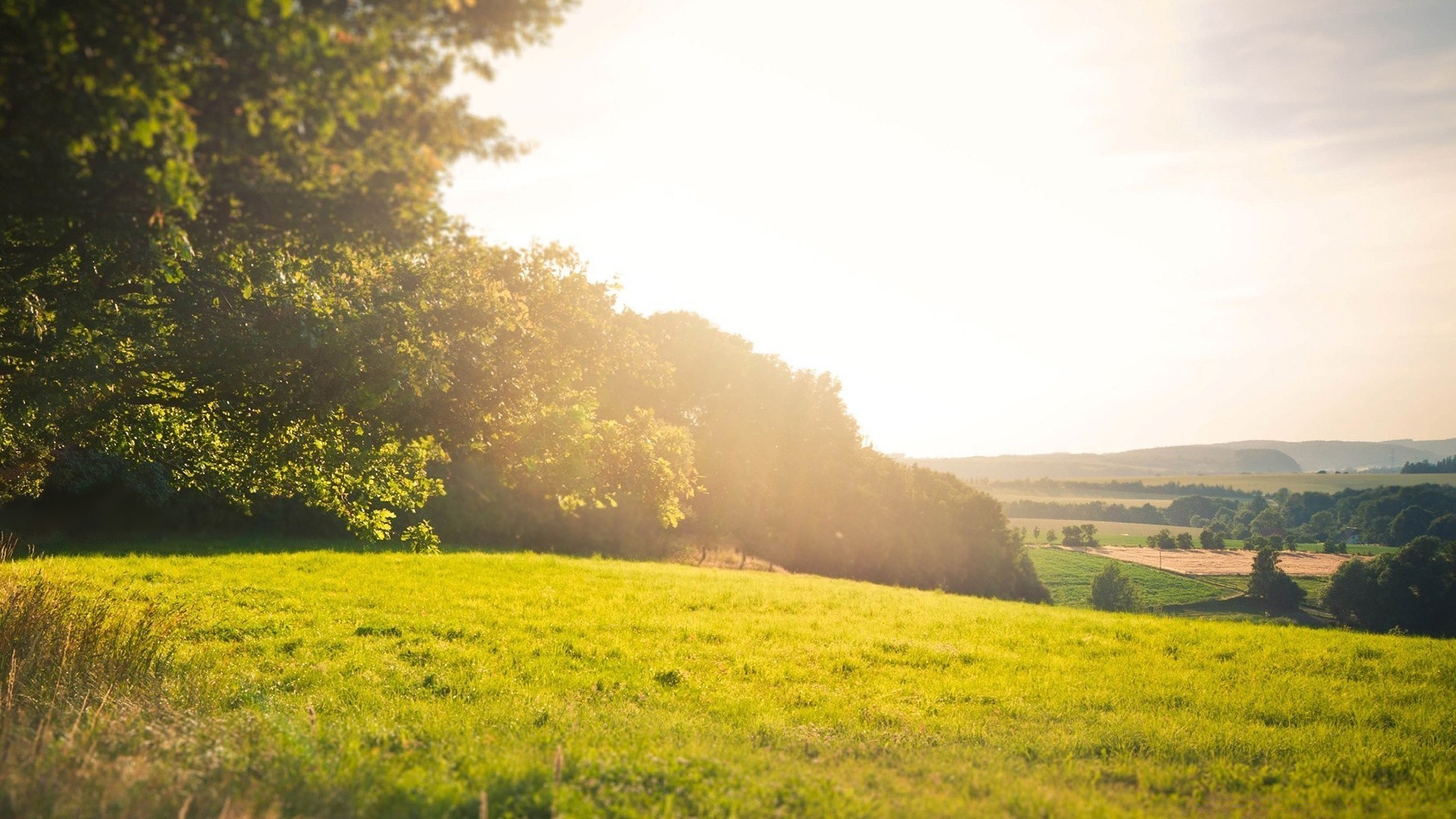 landscapes landscape nature grass outdoors tree field summer countryside agriculture dawn rural hayfield scenic sky cropland farm fair weather sun idyllic