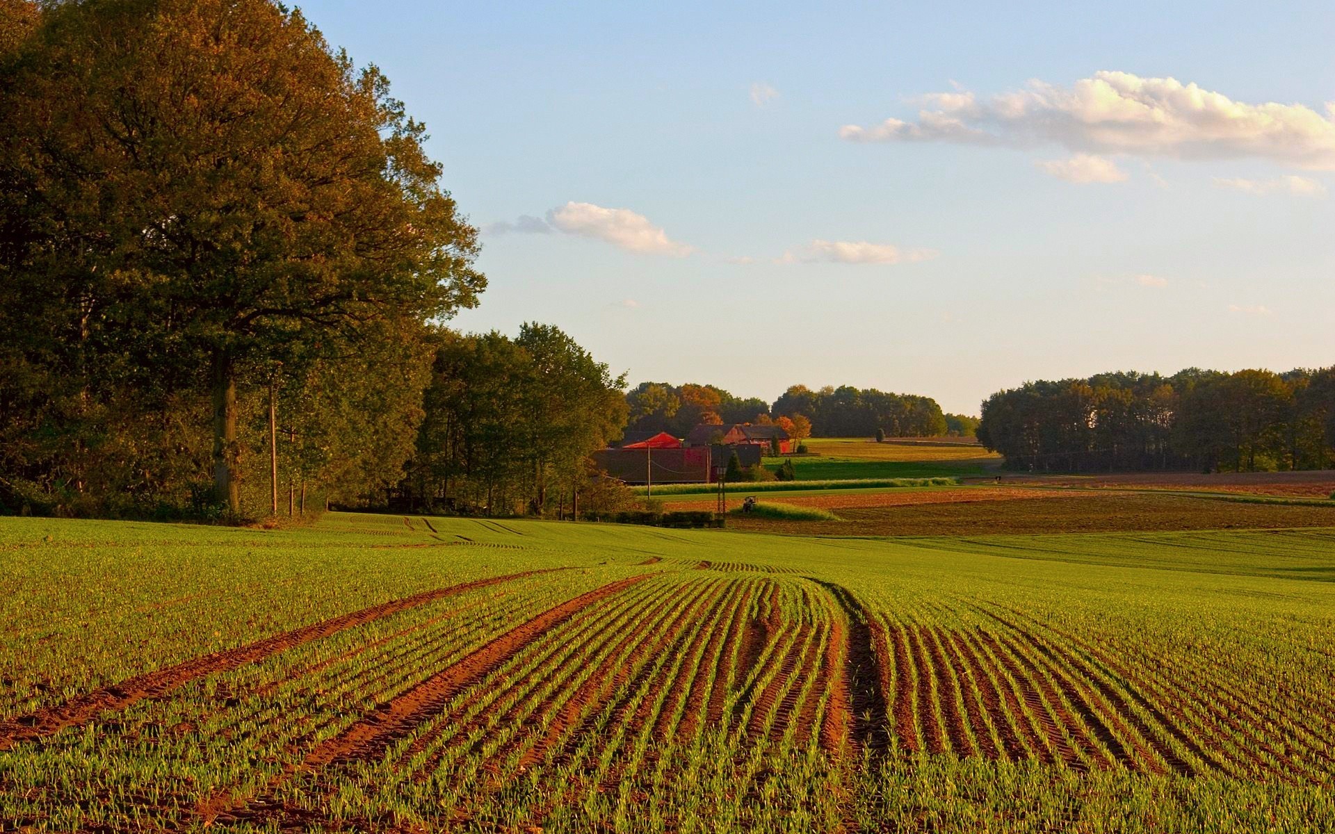 landschaft landwirtschaft bebautes land bauernhof landschaft des ländlichen feld landschaft ernte natur im freien wachstum baum ackerland boden sommer land himmel weide