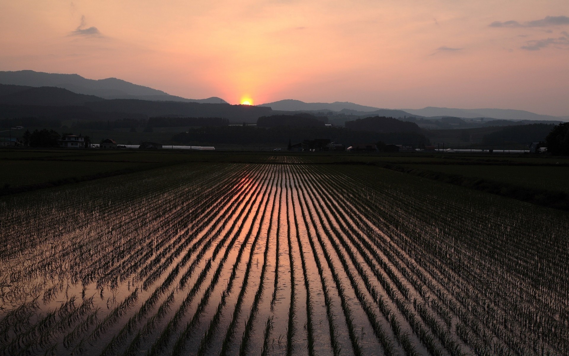 paysage terres cultivées coucher de soleil paysage agriculture aube voyage ciel nature en plein air soir ferme