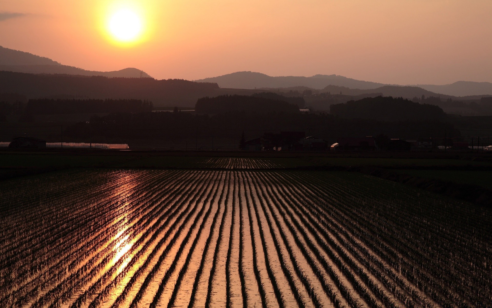 paesaggio tramonto alba sole sera viaggi natura crepuscolo paesaggio all aperto cielo bel tempo terra coltivata luce acqua