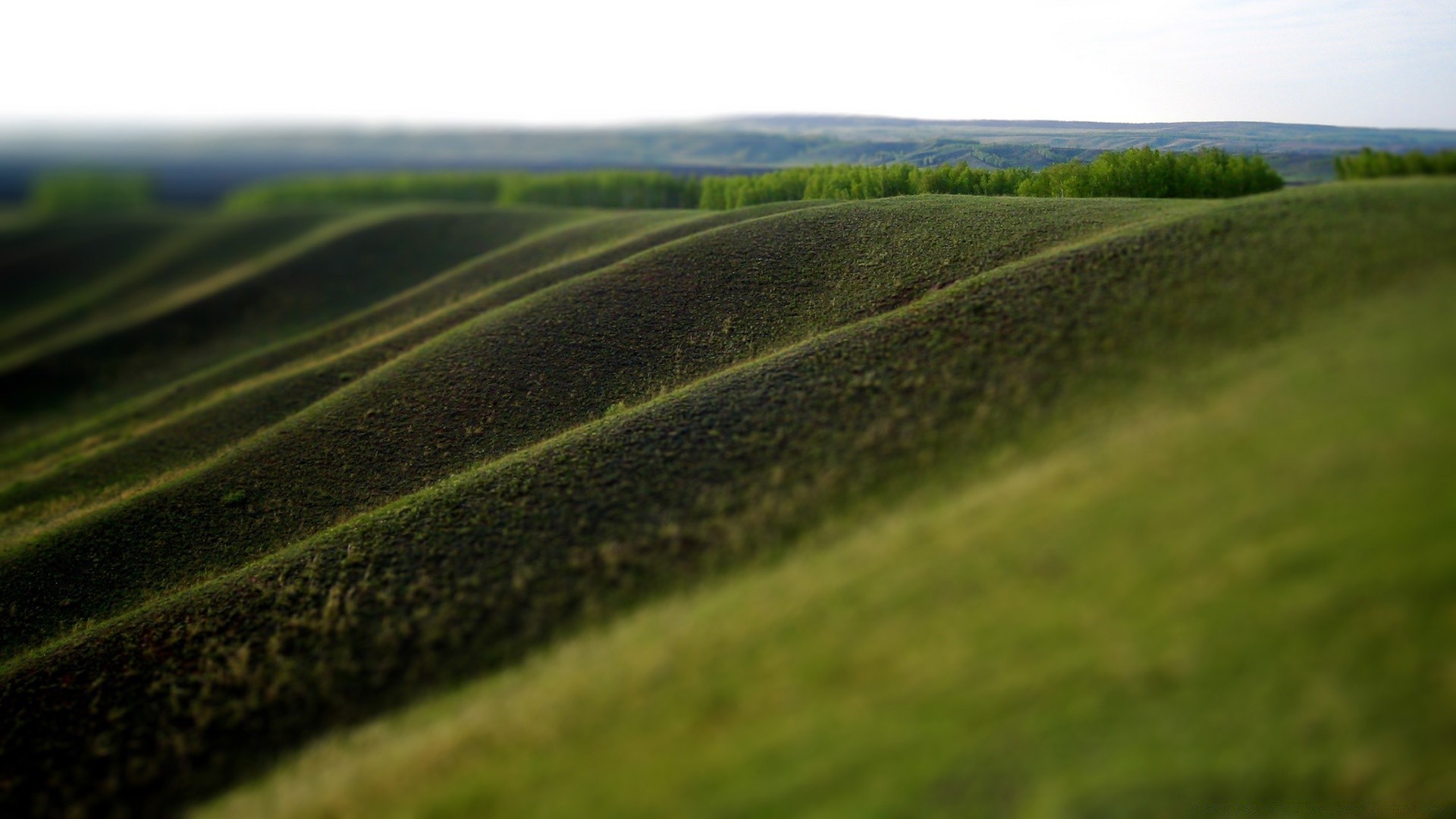 landschaft natur landschaft gras sommer im freien himmel feld