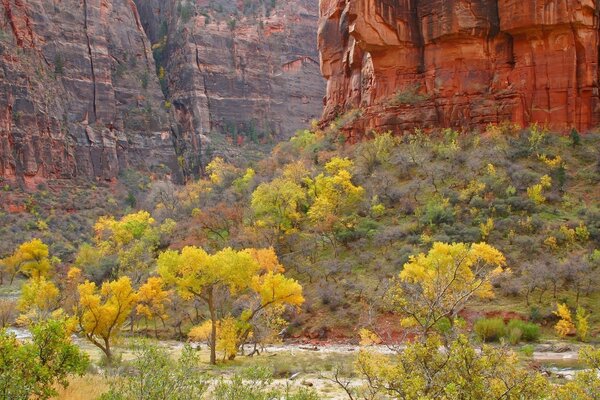 Outono maravilhoso pinta a natureza com suas cores