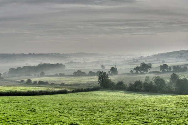 Trees and fields under the cover of fog