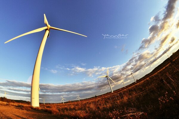 Dawn illuminating windmills