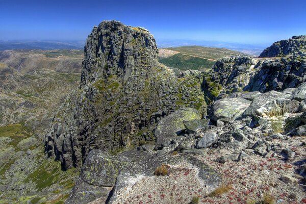 Grandes montañas cubiertas de musgo