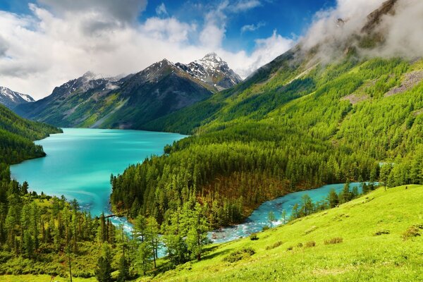 Lagos azules en las montañas y la vegetación