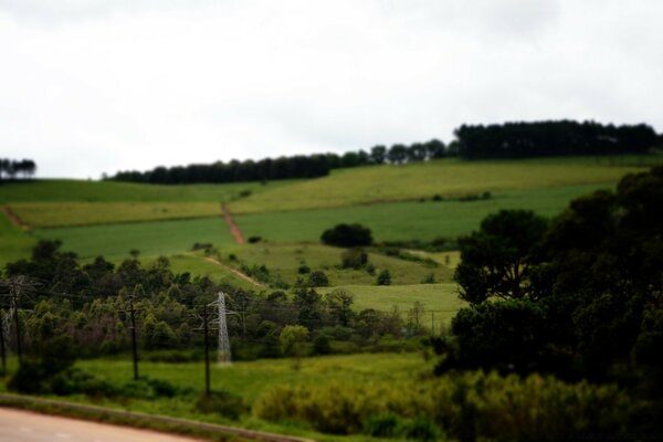 Hermoso paisaje de campos rurales