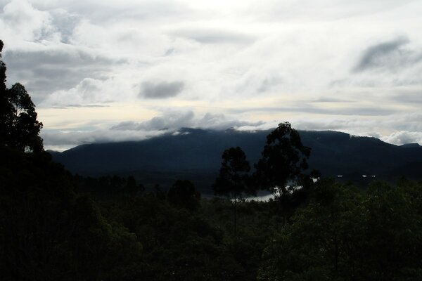 Mountain landscape: clouds in the mountains