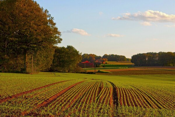 Paisaje agrícola con cultivo de tierras