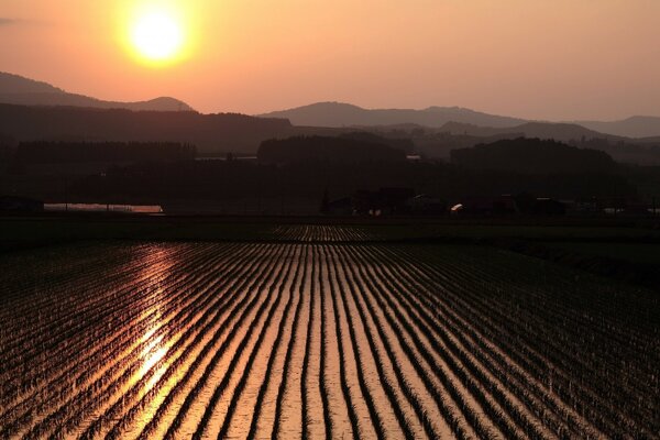 Schöne Landschaft mit Sonnenuntergang