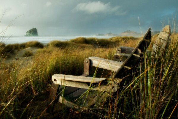 Two old chairs in the field