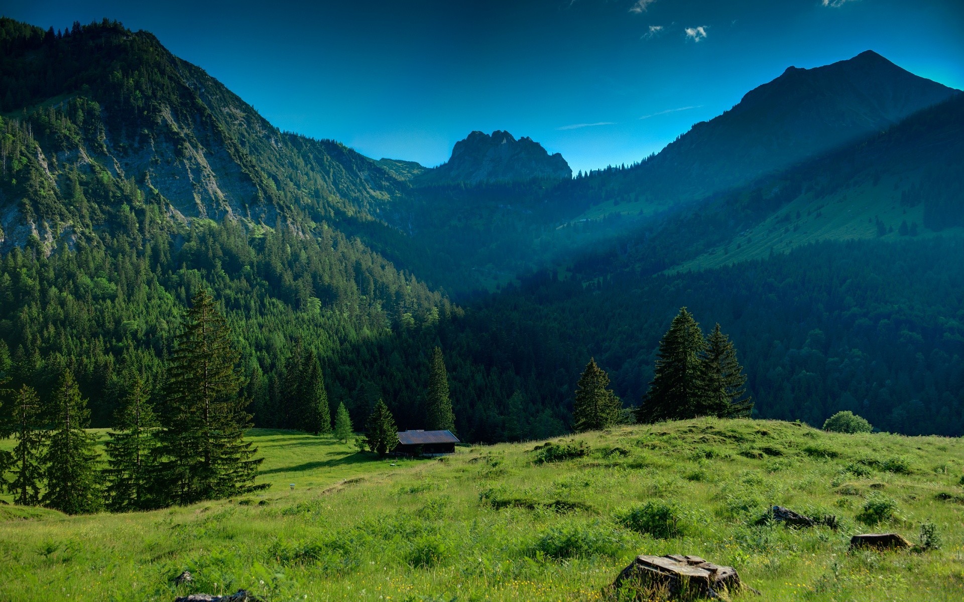 mountains mountain landscape outdoors travel wood nature tree valley sky grass hill scenic snow