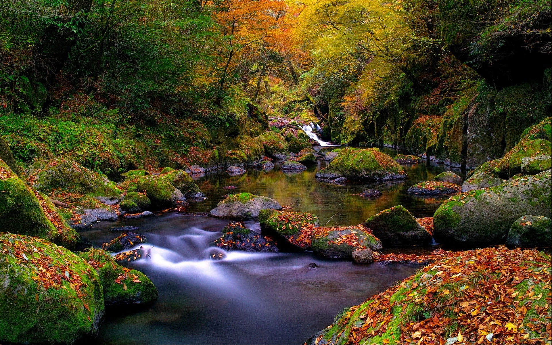 montañas otoño agua río naturaleza madera hoja paisaje cascada arroyo árbol al aire libre roca viajes creek montaña escénico musgo exuberante parque