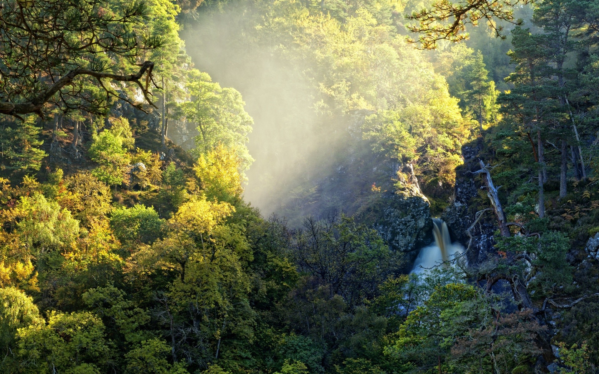 mountains wood tree landscape nature leaf fall scenic park fog outdoors mist season mountain scenery lush environment travel fair weather daylight