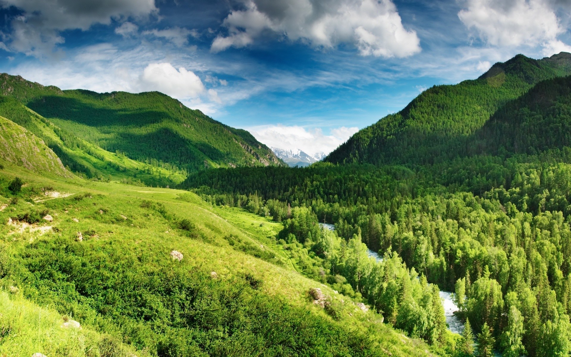 mountains landscape nature mountain hill travel sky valley outdoors summer grass cloud wood hayfield scenic tree rural sight countryside field