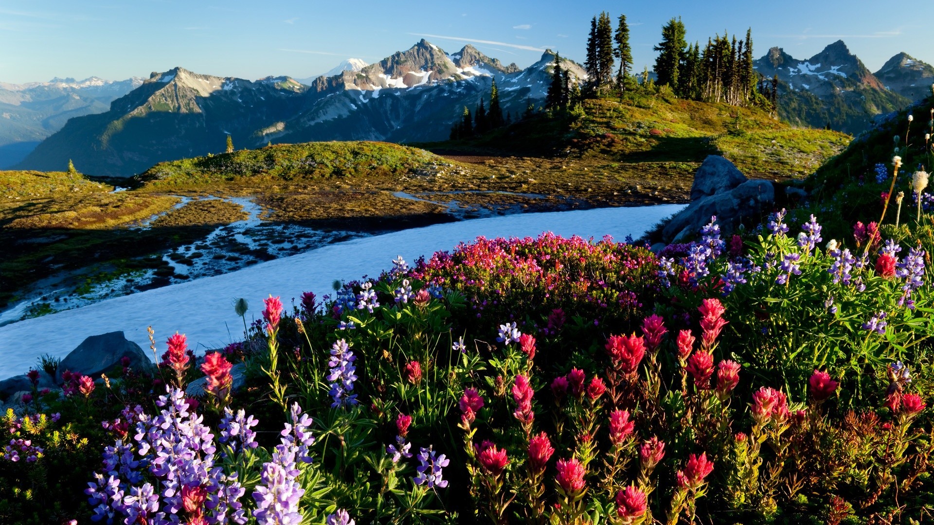 berge berge natur landschaft im freien see landschaftlich wasser reflexion blume reisen sommer heuhaufen