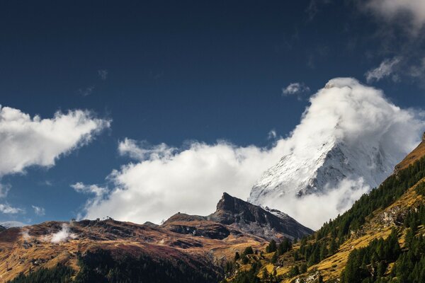 Mountainous coniferous forest and a tall mighty mountain