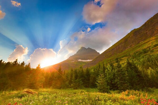 Paisaje de montaña verde con abetos sol brillante cielo azul con nubes